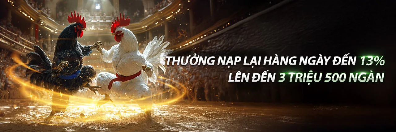 Hình ảnh chính blog l33 đăng ký