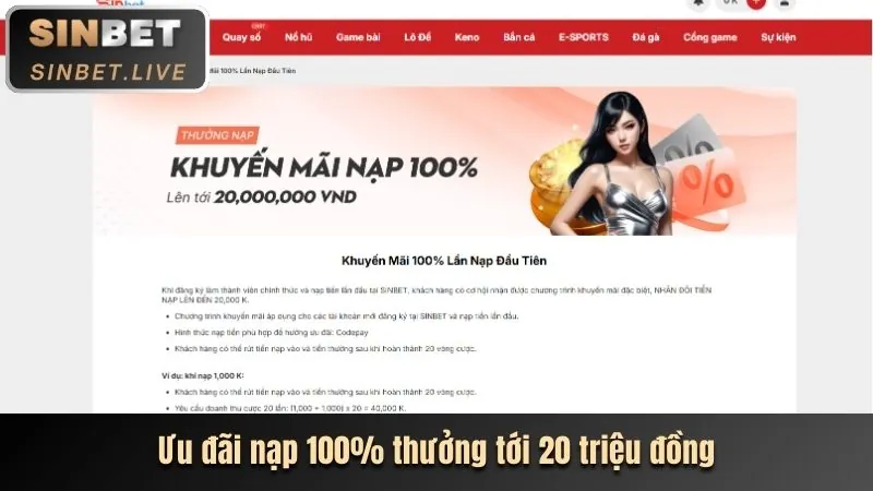Hoàn Trả Tiền Cược L33